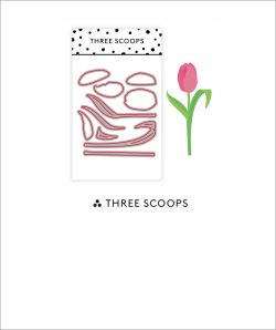 Tulipan fra Three Scoops